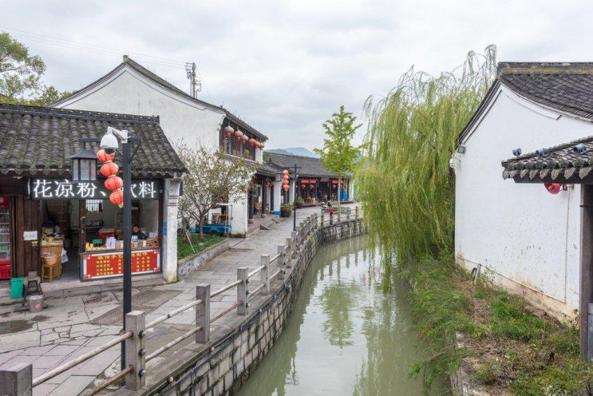 植物大战僵尸20